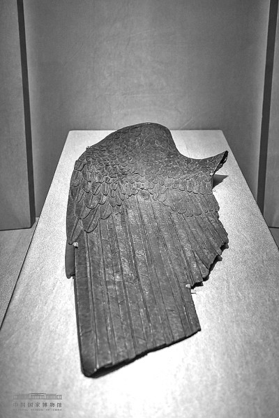 志合者，不以山海为远——“意大利之源——古罗马文明展”背后的故事