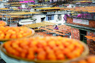 柿饼飘香致富路 柿饼飘香致富路