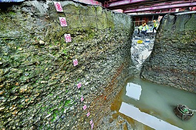 东南沿海先民的生活印记——井头山遗址考古发掘影像纪实