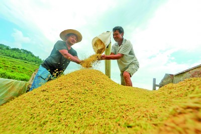 【节气里的韵味中国】立秋未觉凉，残暑日犹长