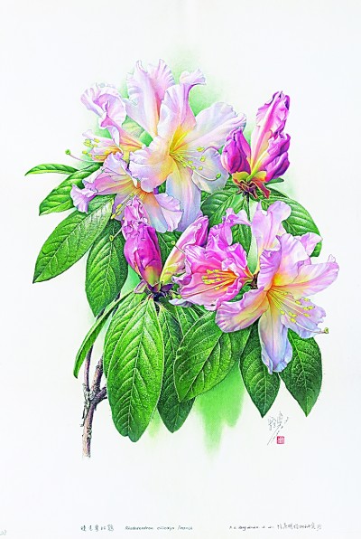 “大自然是永远画不完的”