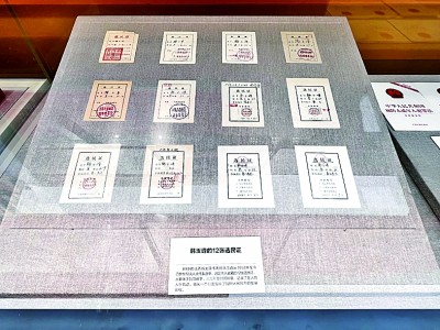 【奋进新时代·展品背后的故事】12张选民证中的时光印记