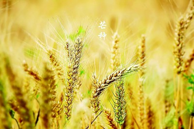 二十四节气的现代意义