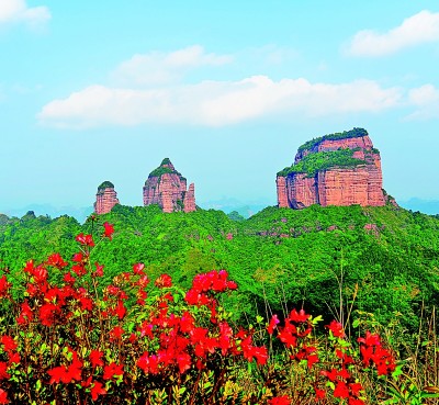 【大美中国】岭南春早，一路梅花一路诗