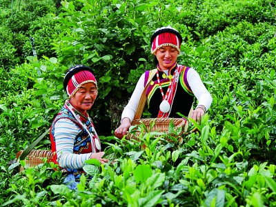 【大美中国】三江并流 大地杰作