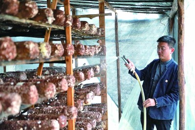 农耕文明，为建设农业强国提供丰厚滋养