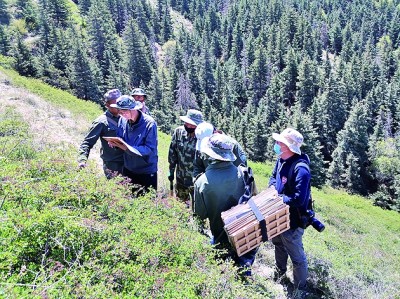 宁夏罗山:旱海中的“绿洲” 宁夏罗山:旱海中的“绿洲”