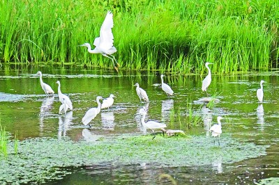 【大美中国】承千年之脉 续盛世华章