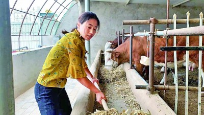 宁夏罗山:旱海中的“绿洲” 宁夏罗山:旱海中的“绿洲”