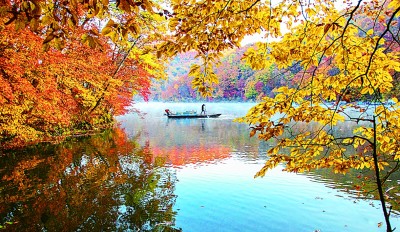 长白山脚下,丰收图景惹人醉 长白山脚下,丰收图景惹人醉