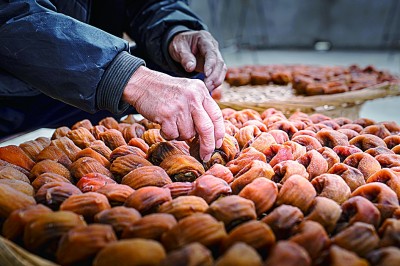 柿饼飘香致富路