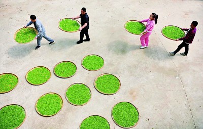 人间四月 茶香有约