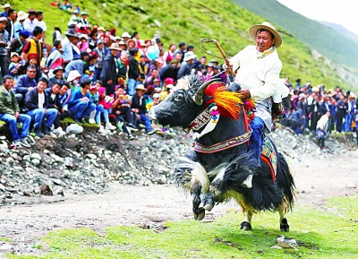 美丽乡村绘就西南新画卷