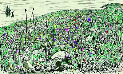 观速写万变 寻逸笔真味