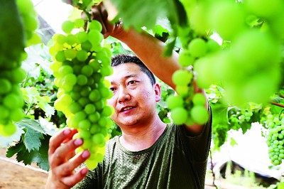 史前第一城 文明新跨越