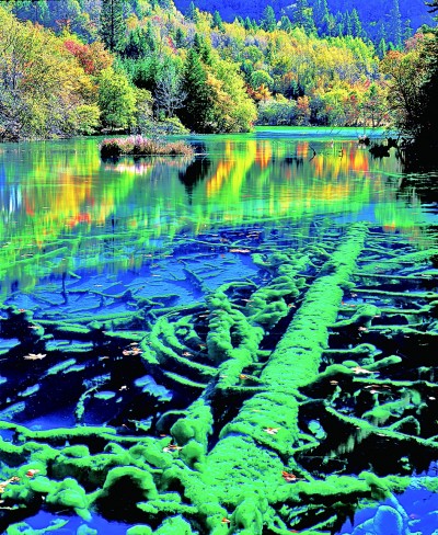 世界遗产影像在中国——“中国·张家界”第二届世界遗产摄影大展掠影