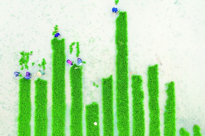 美丽乡村绘就西南新画卷