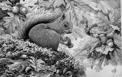 “大自然是永远画不完的”