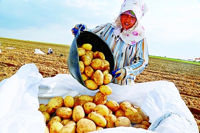 史前第一城 文明新跨越