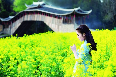 泰顺木拱廊桥：文化密码传承千年