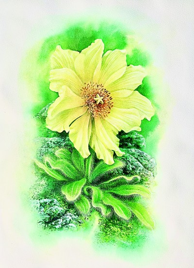 “大自然是永远画不完的”