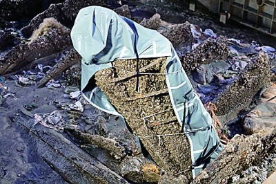 在长江口打捞“时间胶囊”