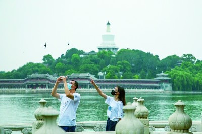 中轴线上的北京雨燕