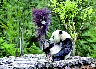 大九寨之秋：多彩童话世界