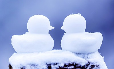 大寒：寒雪消处春意升