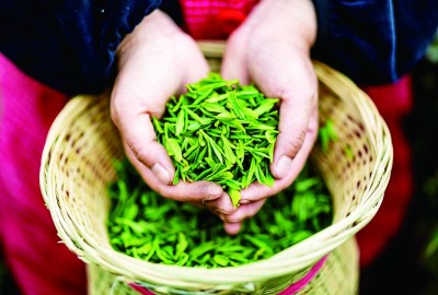 人间四月 茶香有约