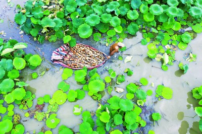 农耕文明，为建设农业强国提供丰厚滋养