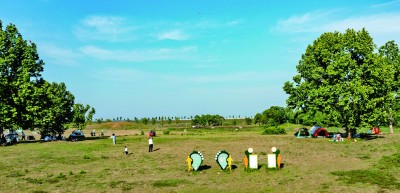 露营火出圈：一顶帐篷，如何撑起“诗与远方”