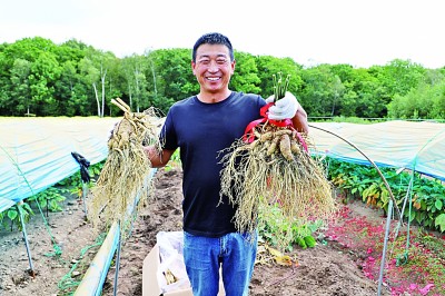 长白山脚下,丰收图景惹人醉 长白山脚下,丰收图景惹人醉