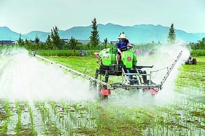 小农机助力大产业 小农机助力大产业