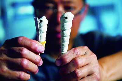 东南沿海先民的生活印记——井头山遗址考古发掘影像纪实