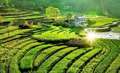 农耕文明，为建设农业强国提供丰厚滋养