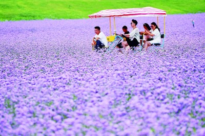 文旅融合高质量发展：赋彩新时代美好生活