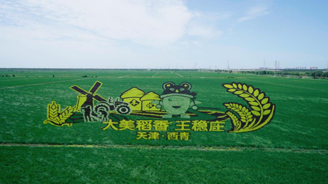 【思想的力量】“只此青绿” ——铺就津沽大地发展底色 【思想的力量】“只此青绿” ——铺就津沽大地发展底色