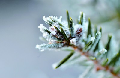 冬至阳生春又来 冬至阳生春又来