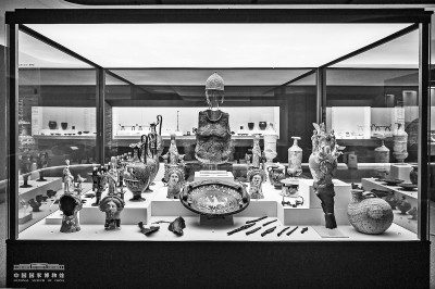 志合者，不以山海为远——“意大利之源——古罗马文明展”背后的故事