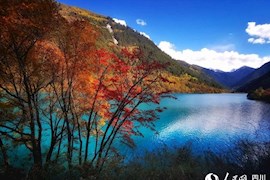 美如童话世界！秋色醉人，九寨沟已归来
