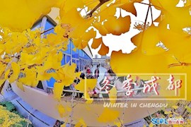 镜界：成都的冬天