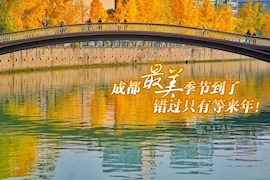 镜界丨成都最美季节到了 错过只有等来年！