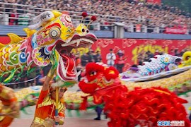 阆中古城千龙千狮闹新春-2