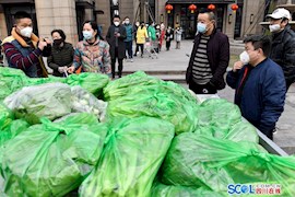 成都：千斤“爱心蔬菜”送到市民家门口