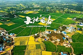 大地回春｜趁着春风一路向南！向南！仁寿的田野很美