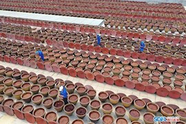 探访郫县豆瓣的“阳光晒场”“自动化包装车间” 