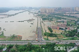 航拍直击｜50年一遇沱江洪峰过境金堂