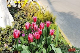 设计感、文化味……这条街惊艳亮相，太适合拍照打卡啦！